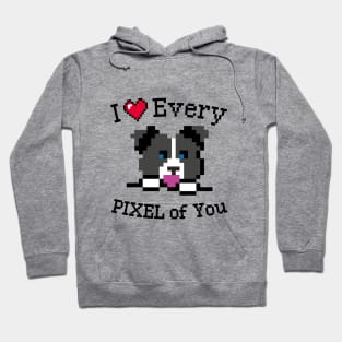 I love every Pixel of You Hoodie